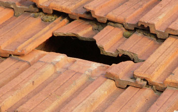 roof repair Staverton